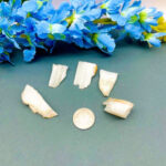 White Banded Agate Rough (Inner Calm and Concentration)