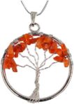 Carnelian Pendant With Silver Polish Metal Chain Natural