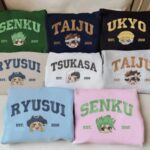 Dr. Stone Embroidered Sweatshirt ? Anime Character Inspired Hoodie ESN1028-1032