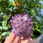 320g+ Purple Point Quartz Cluster,Raw Gemstone,Home Decoration,Quartz Ore,Crystal Ore,Crystal Collection,Mineral Specimens,Reiki Healing