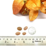 Sunstone Moonstone Mix Cabochon (Flexibility & Acceptance)