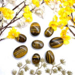Tiger Eye Palmstone (Confidence and Strength)